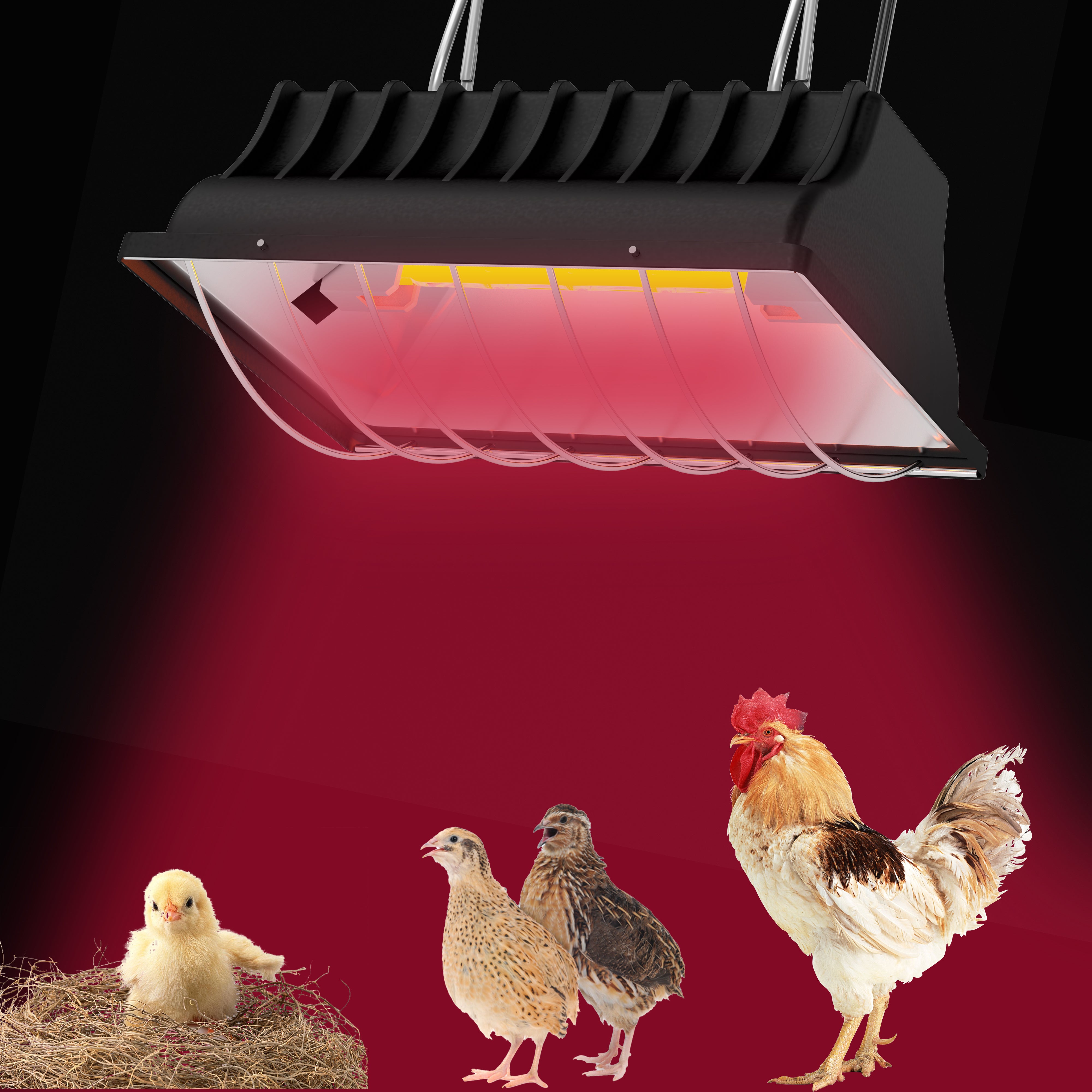 Chicken Coop Heater 250w Chicken Heater Heat Lamp Outdoor Hanging Light Heated with Waterproof and Anti-Fall Aluminum Alloy Lamp Shade