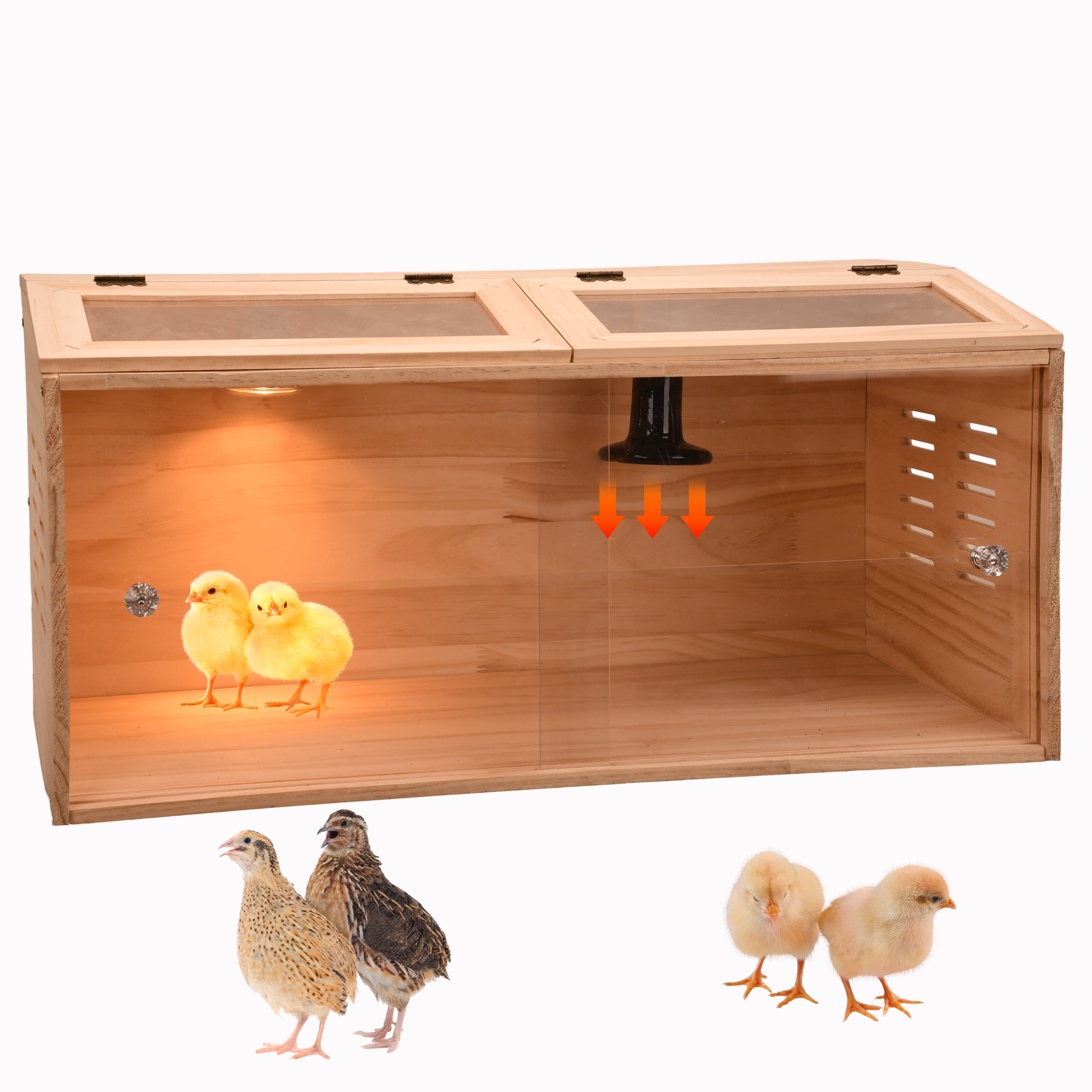 10-15 Chick brooder Box, Intelligent Brooder Box, Chick brooder Box with Heating lamp, Poultry Heater breeding Box, Quail Bird Chick Brooding Box