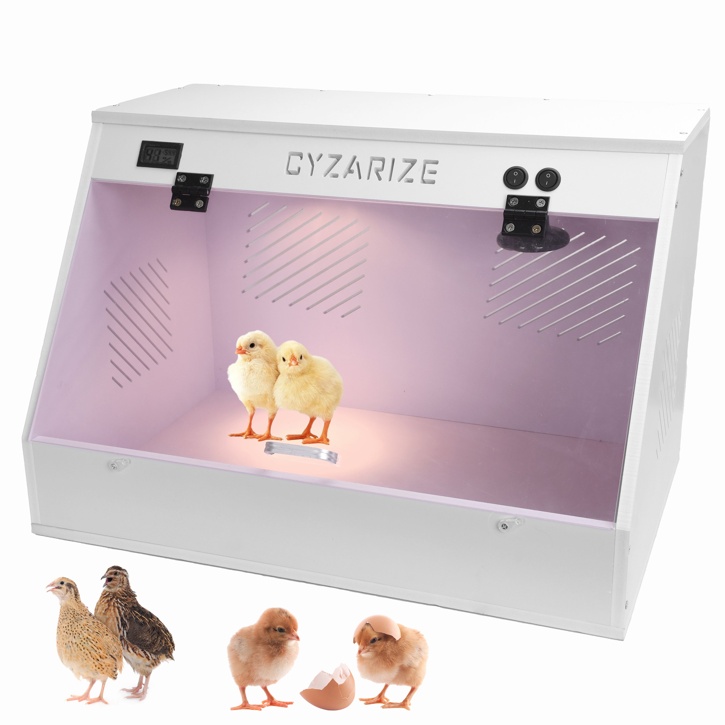 Chicken Brooder Box Chick Brooding Box with Heat Lamp Ideal for Chicks/Ducks/Quail/Rutin Chicken Brooder Box - Holds 12-18 Chicks Visit the