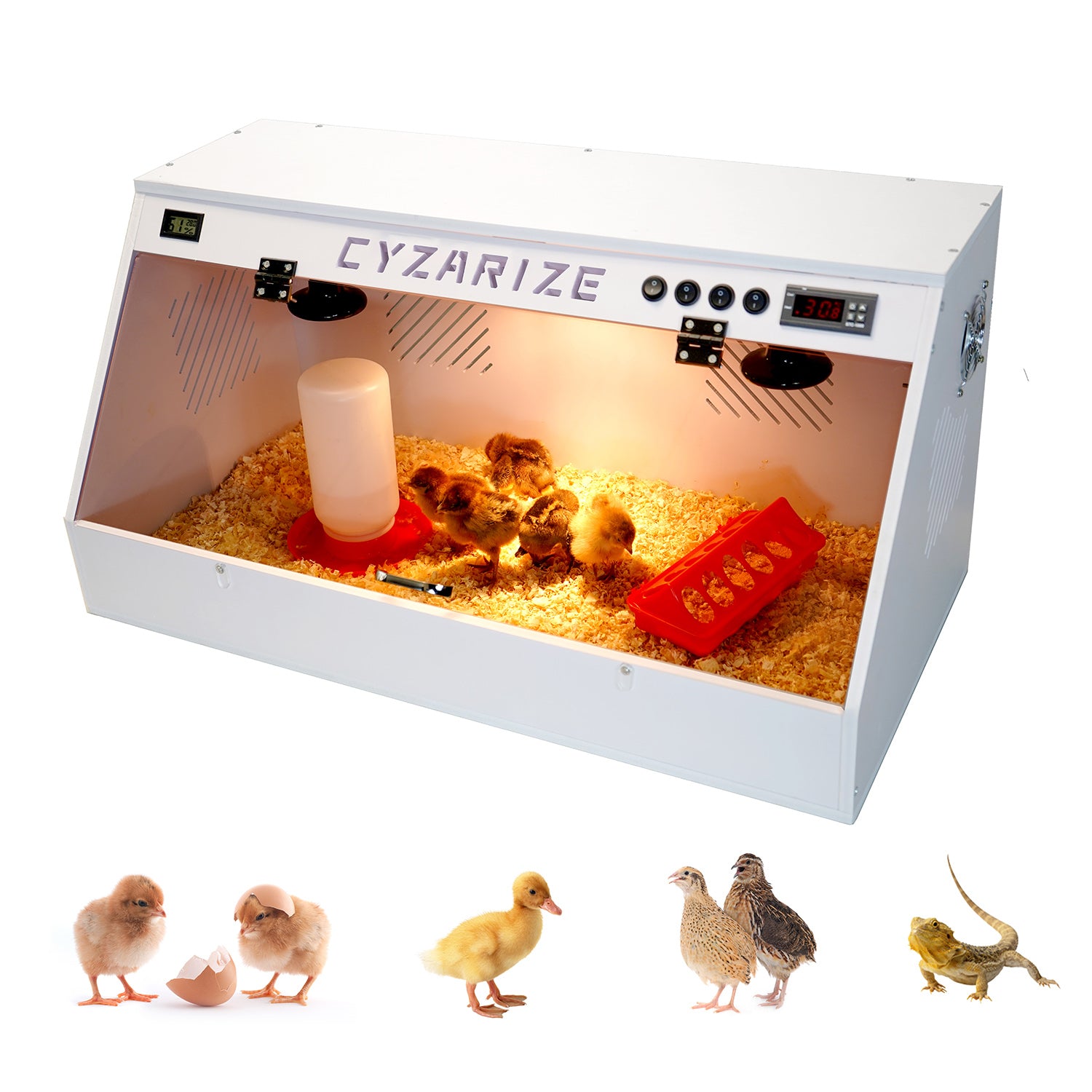Cyzarize comes with two ceramic heat lamps and lights. has a smart thermostat and an exhaust fan Smart chick brooder for 45 chicks/ducks/quails