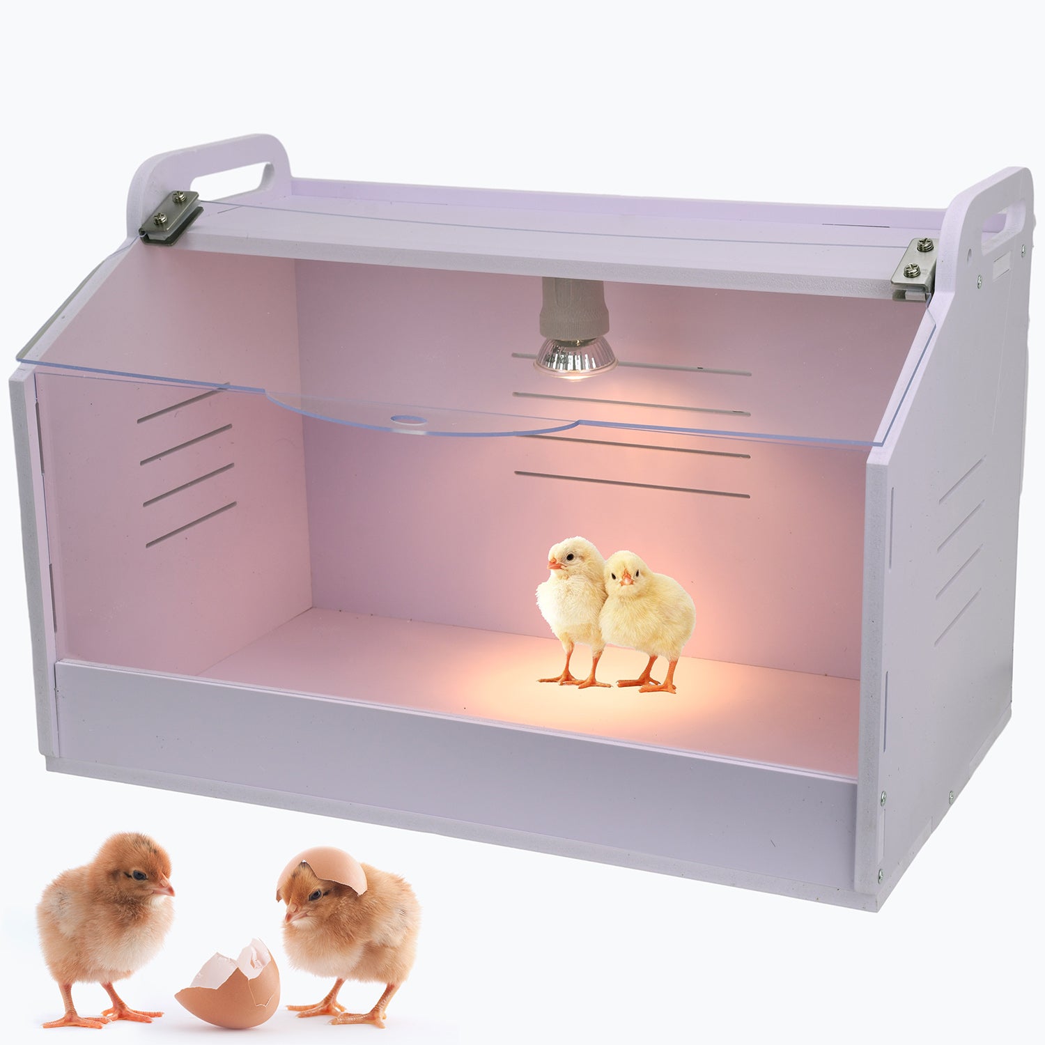 Cyzarize Chick Brooder Box with Heat Lamp Made of High Density PVC Durable. Easy to Clean. Holds Up to 15 Suitable Chicks Quail